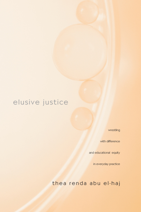 Cover image for book Elusive Justice