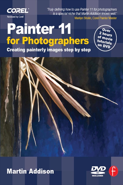 Cover image for book Painter 11 for Photographers