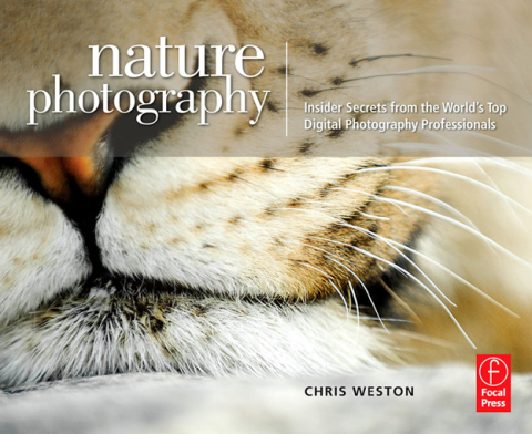 Cover image for book Nature Photography: Insider Secrets from the World’s Top Digital Photography Professionals