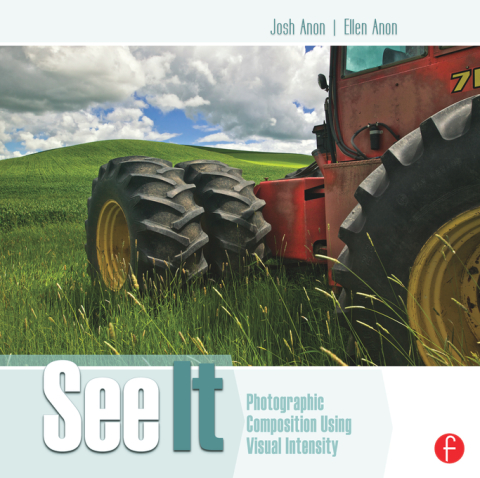 Cover image for book See It: Photographic Composition Using Visual Intensity