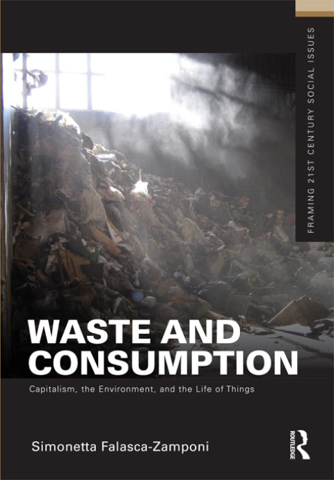 Cover image for book Waste and Consumption