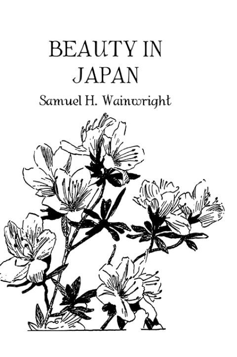 Cover image for book Beauty In Japan
