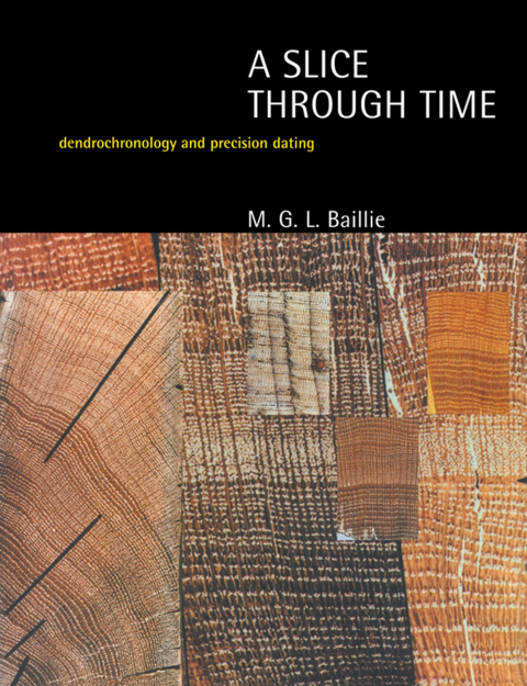 Cover image for book A Slice Through Time
