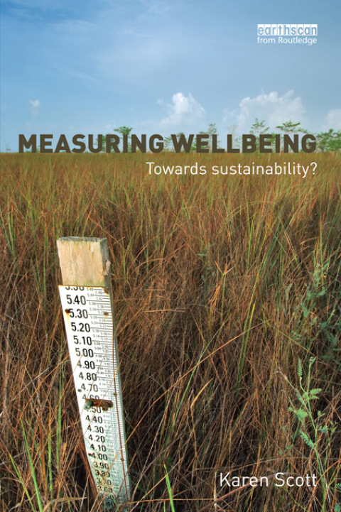Cover image for book Measuring Wellbeing: Towards Sustainability?