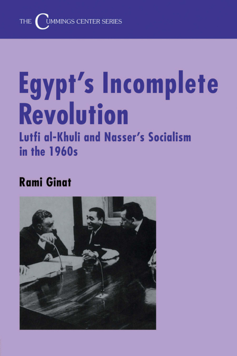 Cover image for book Egypt's Incomplete Revolution