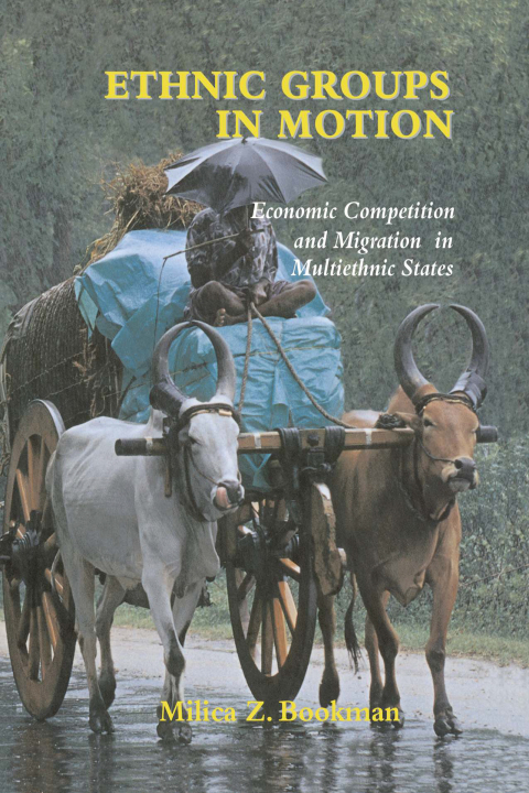 Cover image for book Ethnic Groups in Motion