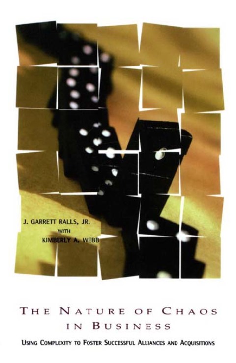 Cover image for book The Nature of Chaos in Business