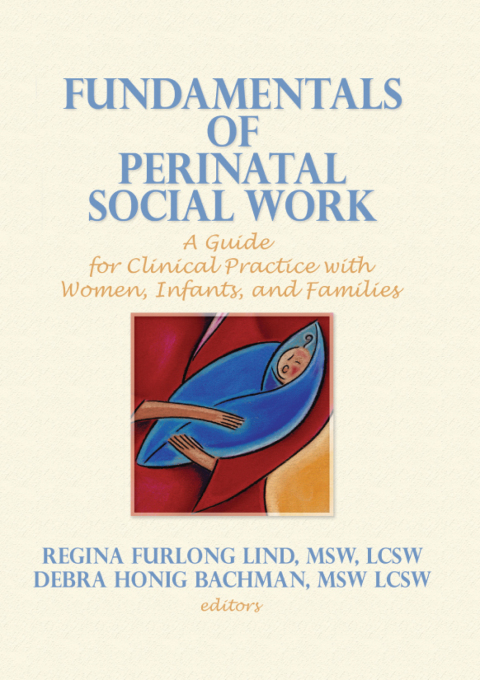 Cover image for book Fundamentals of Perinatal Social Work
