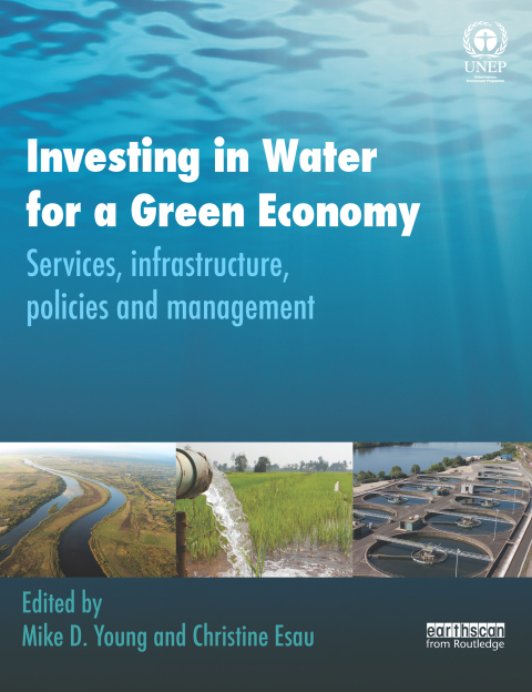 Cover image for book Investing in Water for a Green Economy