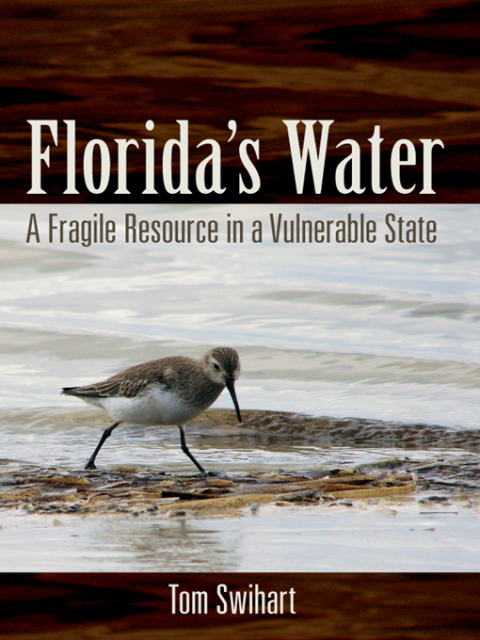 Cover image for book Florida's Water