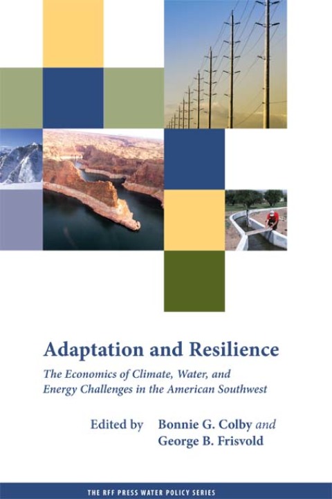 Cover image for book Adaptation and Resilience