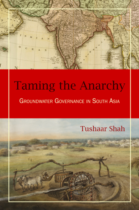 Cover image for book Taming the Anarchy
