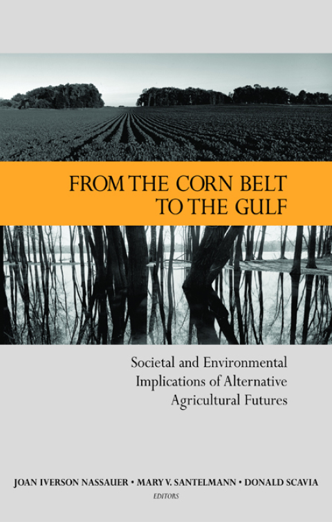 Cover image for book From the Corn Belt to the Gulf