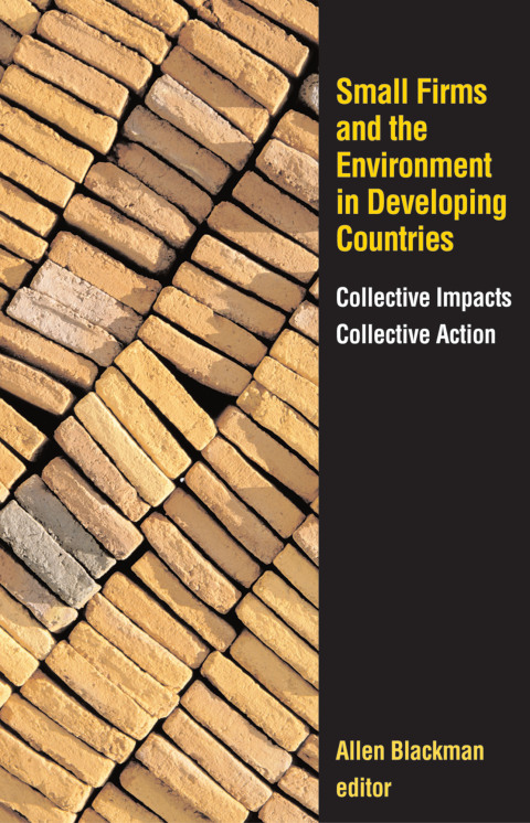 Cover image for book Small Firms and the Environment in Developing Countries