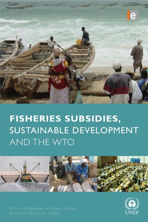 Cover image for book Fisheries Subsidies, Sustainable Development and the WTO