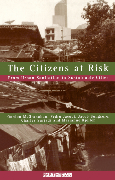 Cover image for book The Citizens at Risk