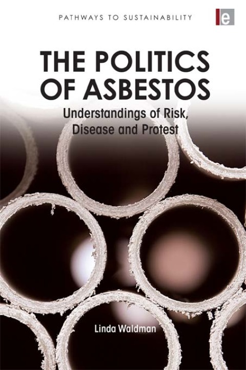 Cover image for book The Politics of Asbestos