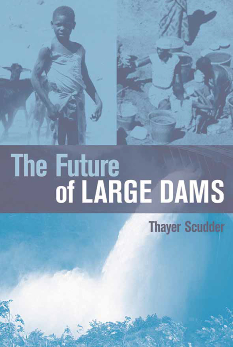 Cover image for book The Future of Large Dams