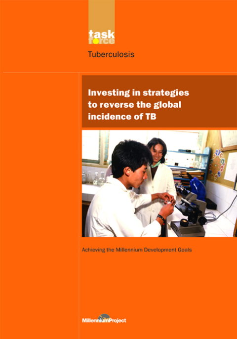 Cover image for book UN Millennium Development Library: Investing in Strategies to Reverse the Global Incidence of TB