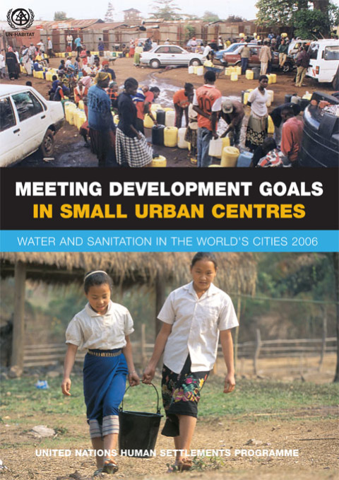 Cover image for book Meeting Development Goals in Small Urban Centres