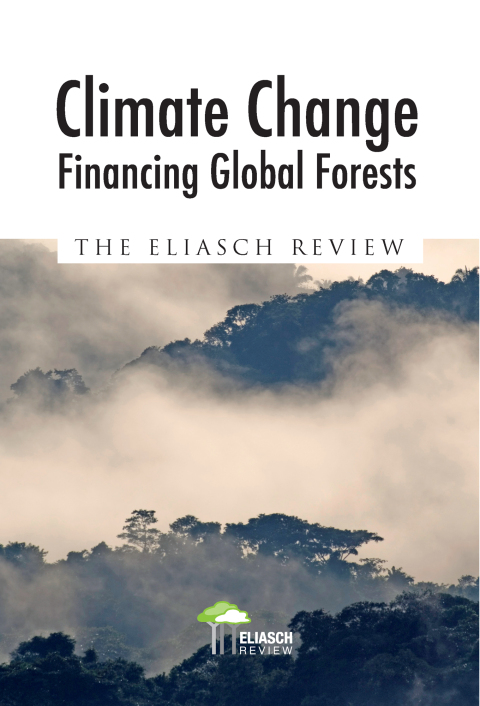 Cover image for book Climate Change: Financing Global Forests