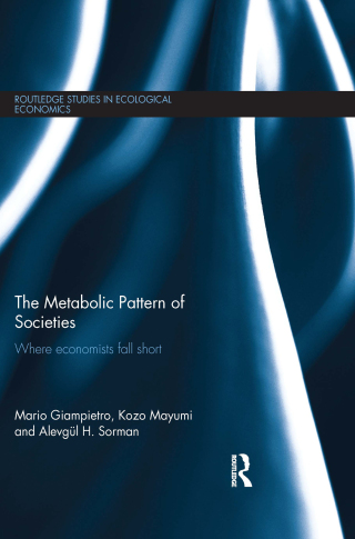 The Metabolic Pattern of Societies