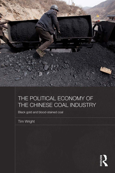 Cover image for book The Political Economy of the Chinese Coal Industry