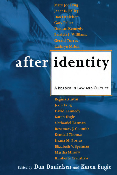 Cover image for book After Identity