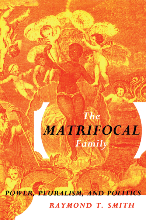 Cover image for book The Matrifocal Family
