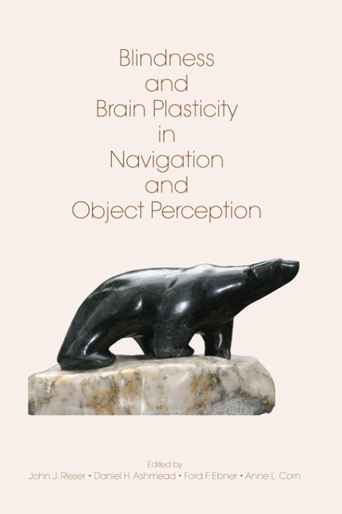 Cover image for book Blindness and Brain Plasticity in Navigation and Object Perception
