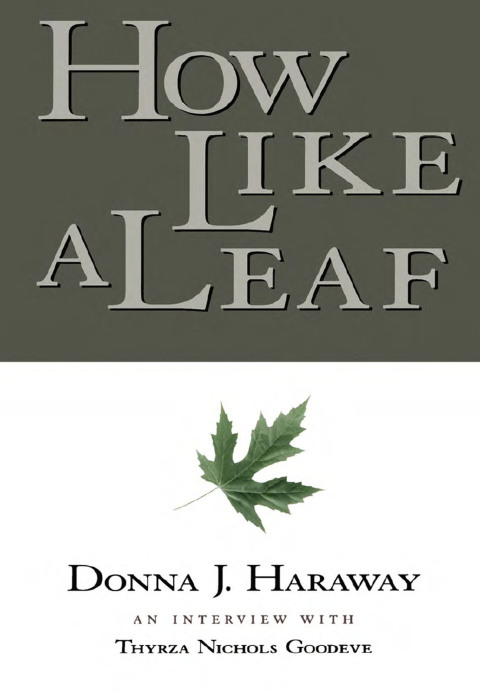 Cover image for book How Like a Leaf