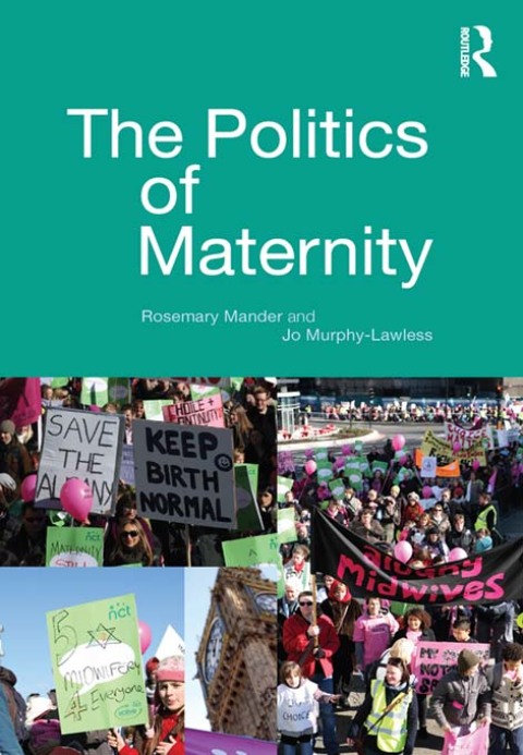 Cover image for book The Politics of Maternity