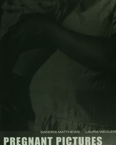 Cover image for book Pregnant Pictures