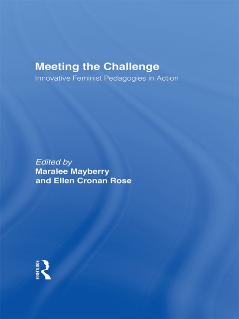 Cover image for book Meeting the Challenge
