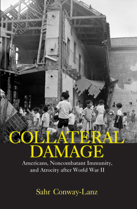Cover image for book Collateral Damage