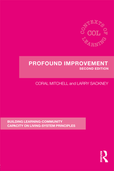 Cover image for book Profound Improvement