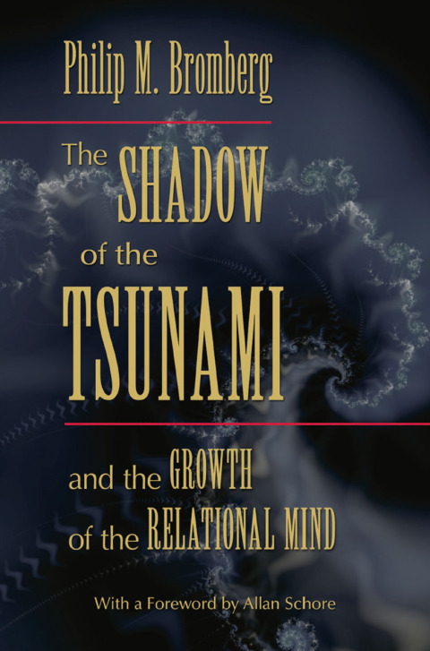 Cover image for book The Shadow of the Tsunami