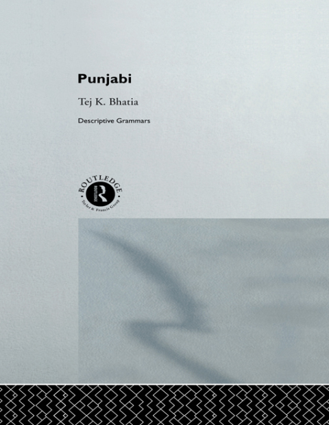 Cover image for book Punjabi