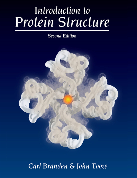 Cover image for book Introduction to Protein Structure