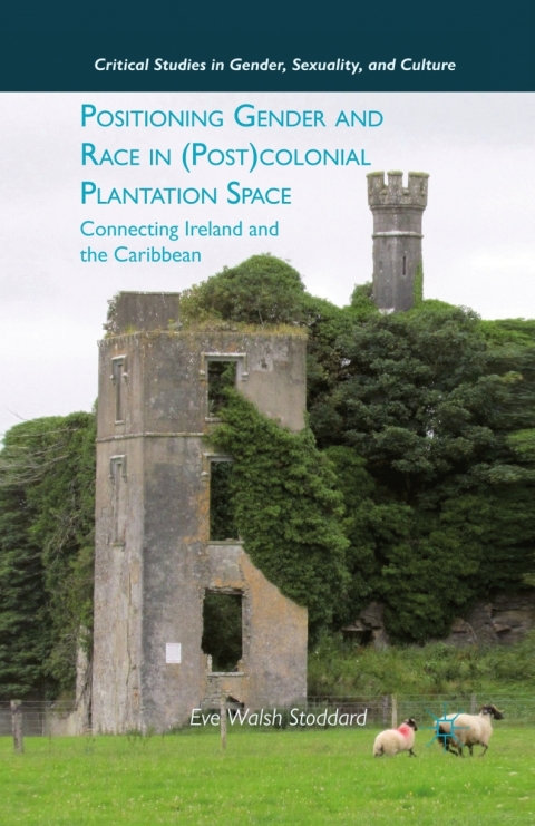 Cover image for book Positioning Gender and Race in (Post)colonial Plantation Space