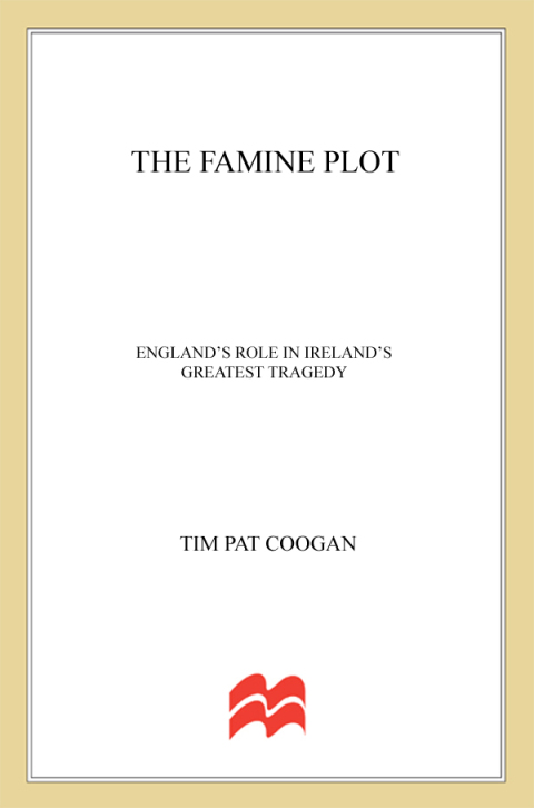Cover image for book The Famine Plot