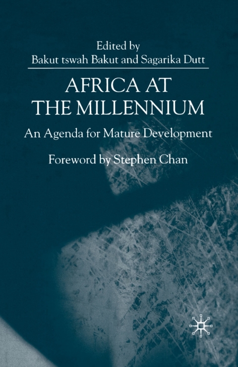 Cover image for book Africa at the Millennium