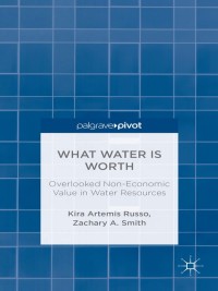 صورة الغلاف: What Water Is Worth: Overlooked Non-Economic Value in Water Resources 9780230340763