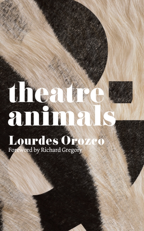 Cover image for book Theatre and Animals