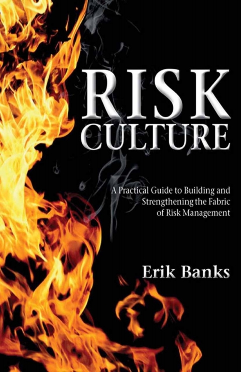 Cover image for book Risk Culture