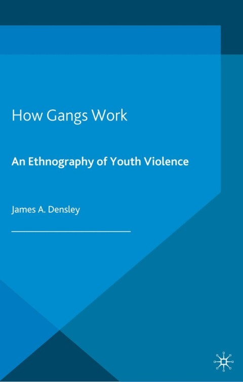 Cover image for book How Gangs Work
