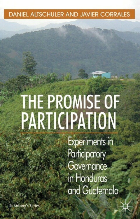 Cover image for book The Promise of Participation
