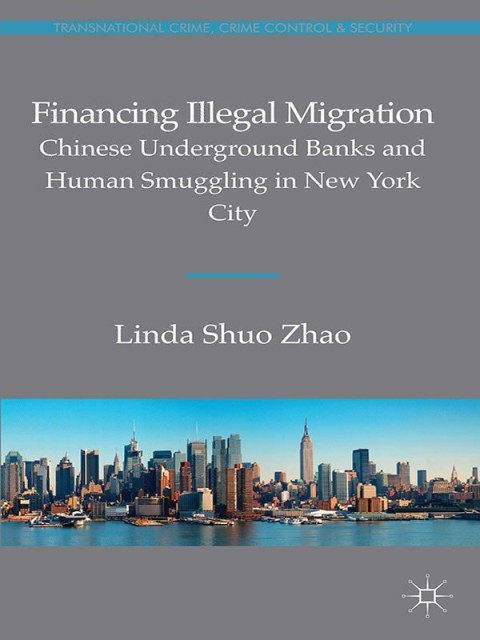 Cover image for book Financing Illegal Migration