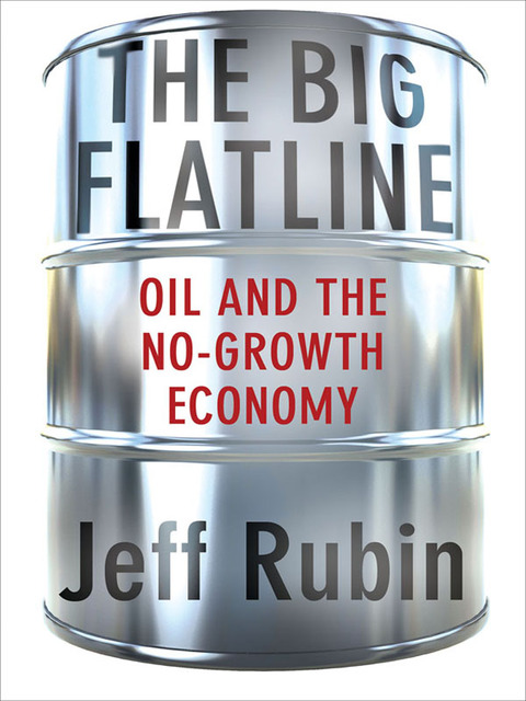 Cover image for book The Big Flatline
