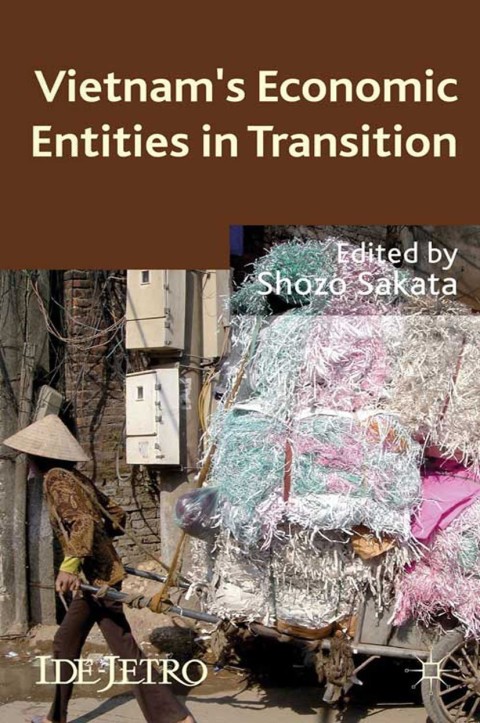 Cover image for book Vietnam's Economic Entities in Transition